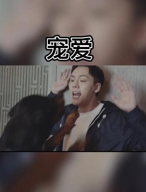 男主很暖很温柔的宠文游戏截图