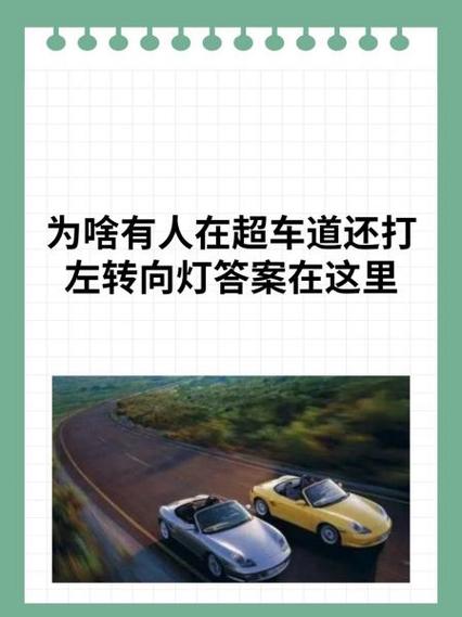 驾校为啥要用大象驾到