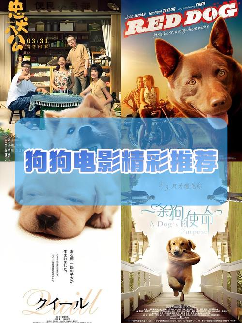 怏狗影视大全