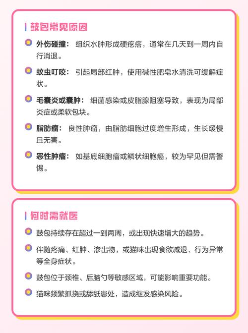 猫头上鼓包会自愈吗
