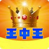 澳门彩王中王