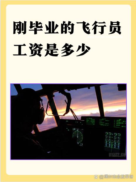 航司工资多少钱一个月游戏截图