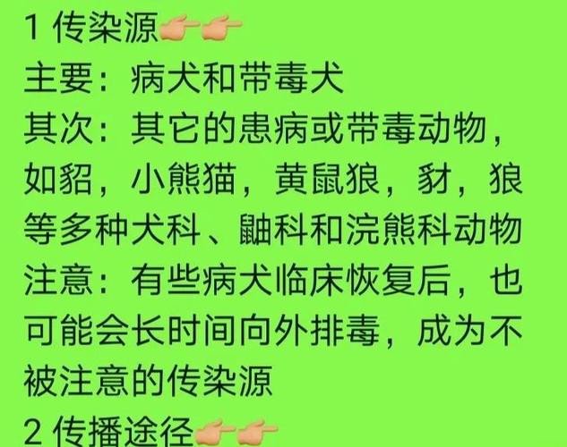 cdv是什么病毒