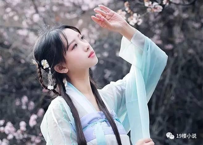 杭州19楼小说手机版