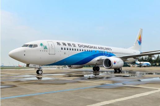 东海航空公司官网缩略图