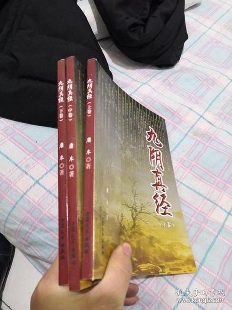 九阴真经武当绝学