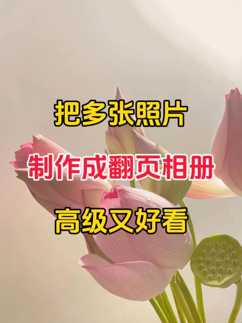 怎么把相册照片做成视频