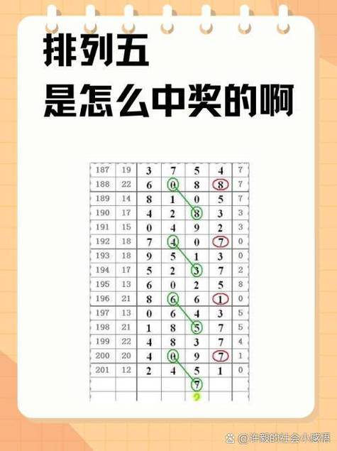 真精华布衣1234今天开奖结果号码