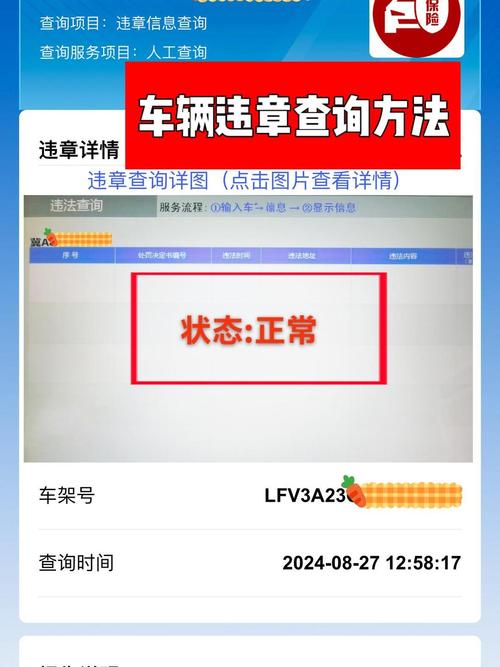 川牌车辆违章查询缩略图
