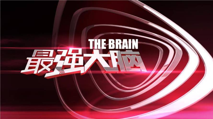 最强大脑综艺第一季