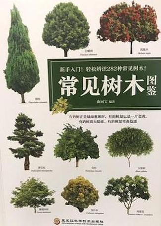 常见50种树木