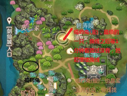 完美世界妖兽带什么宠物