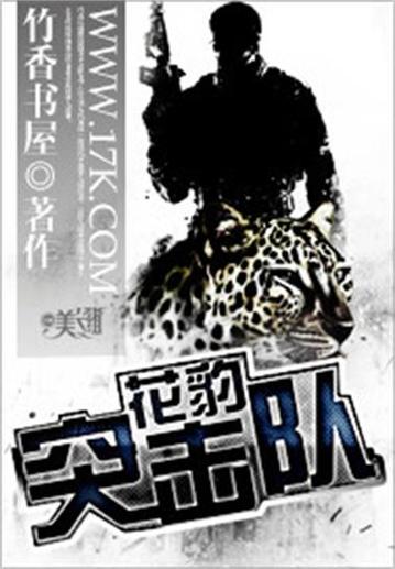 小说花豹突击队免费阅读
