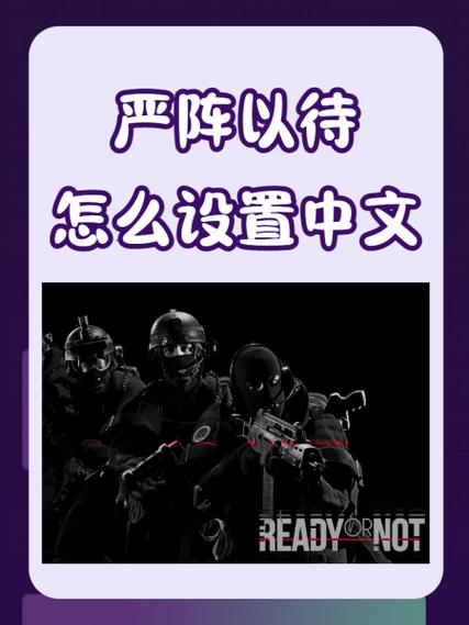严阵以待汉化包游戏截图