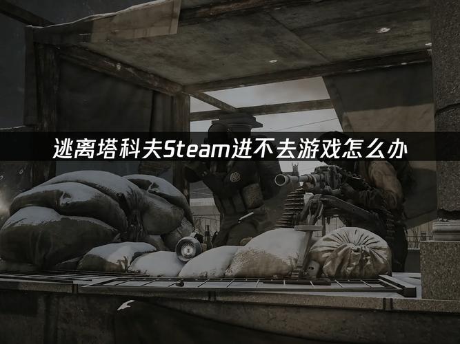 逃离塔科夫卡壳修复不了
