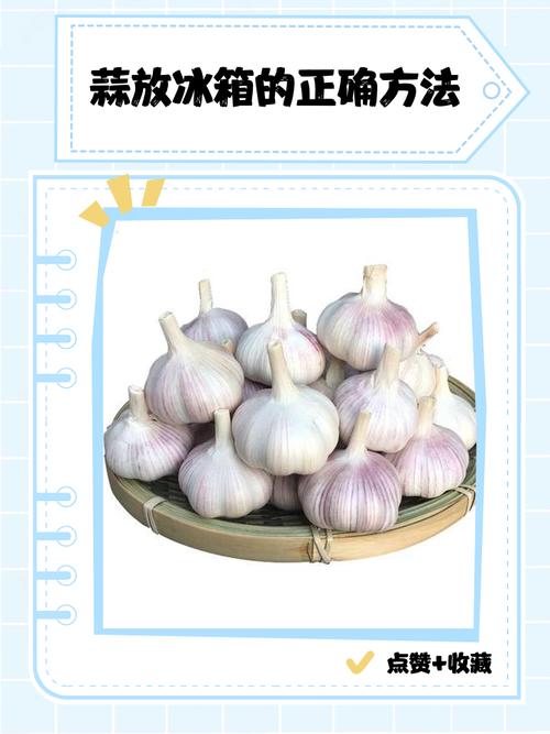 蒜放冰箱的正确方法缩略图