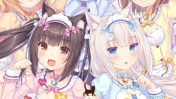 猫娘乐园顺序