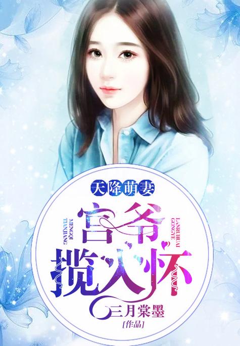 天降萌妻宫爷揽入怀