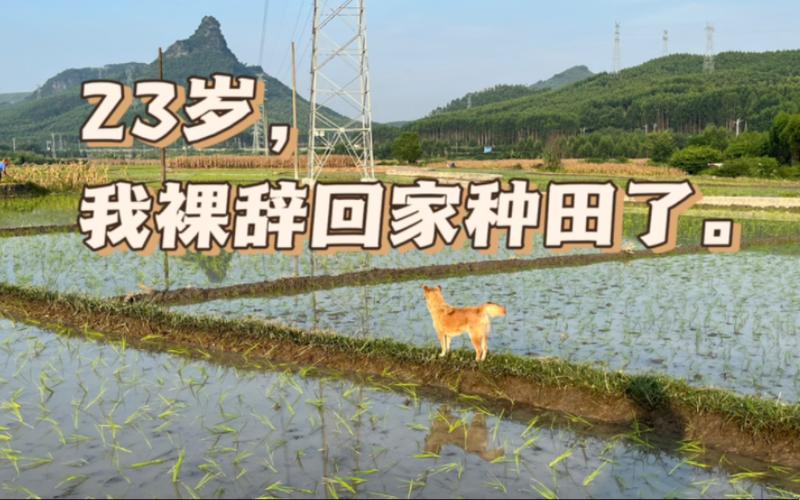 我回家种田了