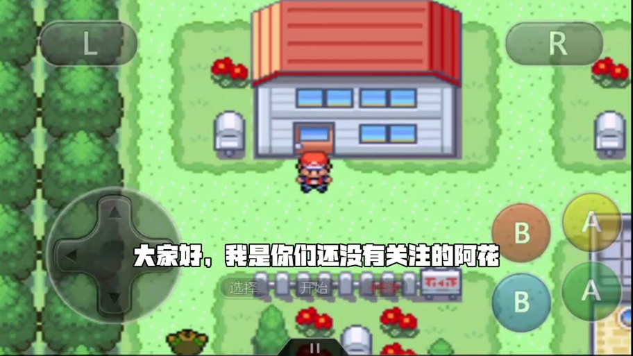 口袋妖怪永恒之炎汉化版