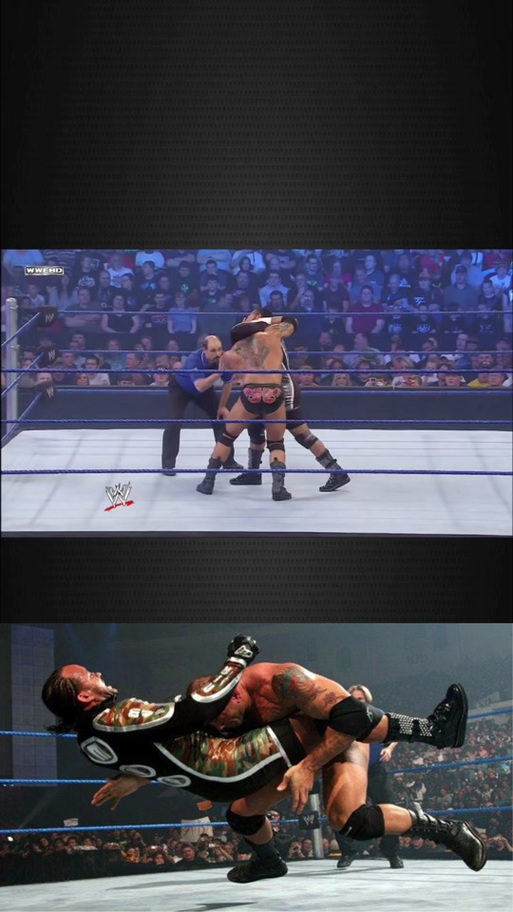wwe必杀技大全