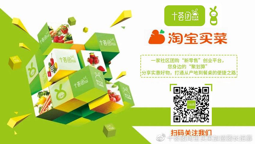 十荟团团长赚钱吗游戏截图