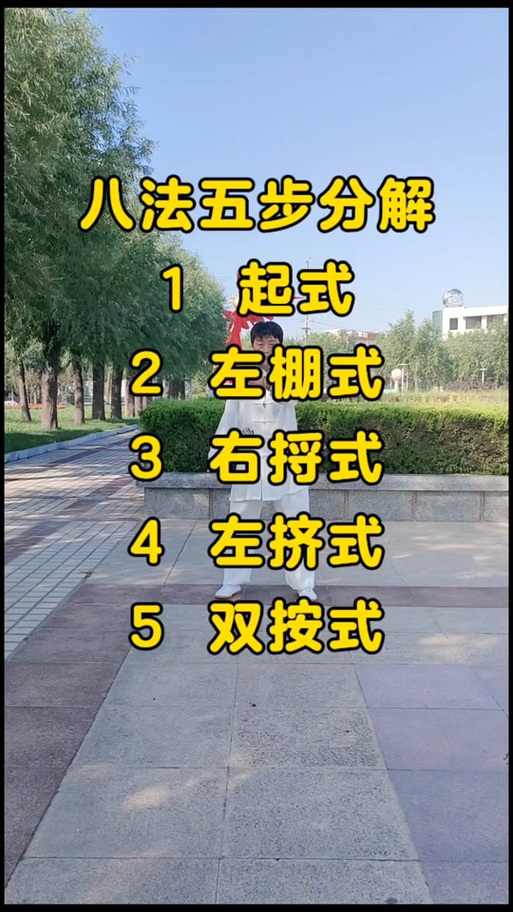 太极八法五步慢动作