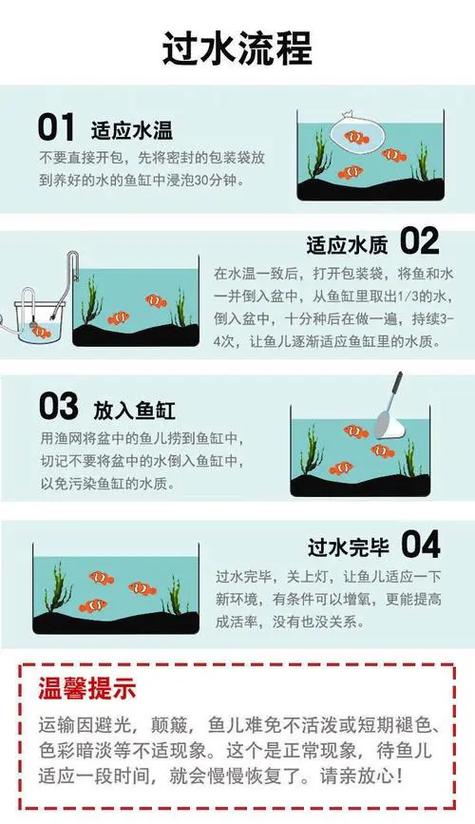 新鱼入缸趴缸一般多久