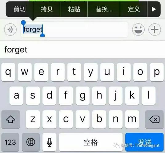 苹果自带的词典怎么打开