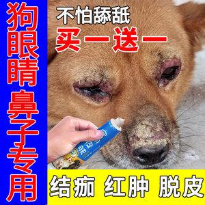 狗鼻子长癣用什么药膏