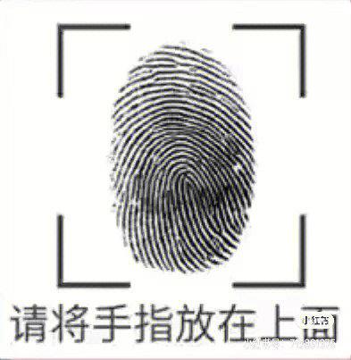 表情包整蛊