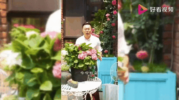 喜欢养花的男人是什么样的人