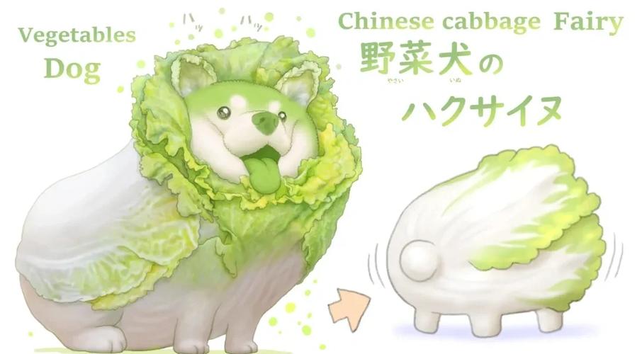 蔬菜精灵菜狗多少钱