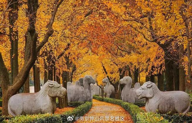 关于南京文化