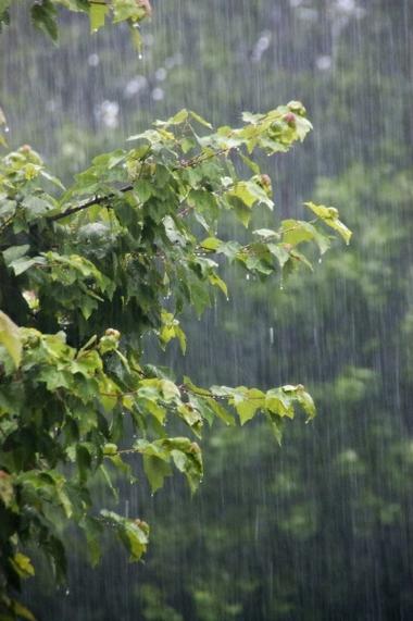 下雨天图片100张
