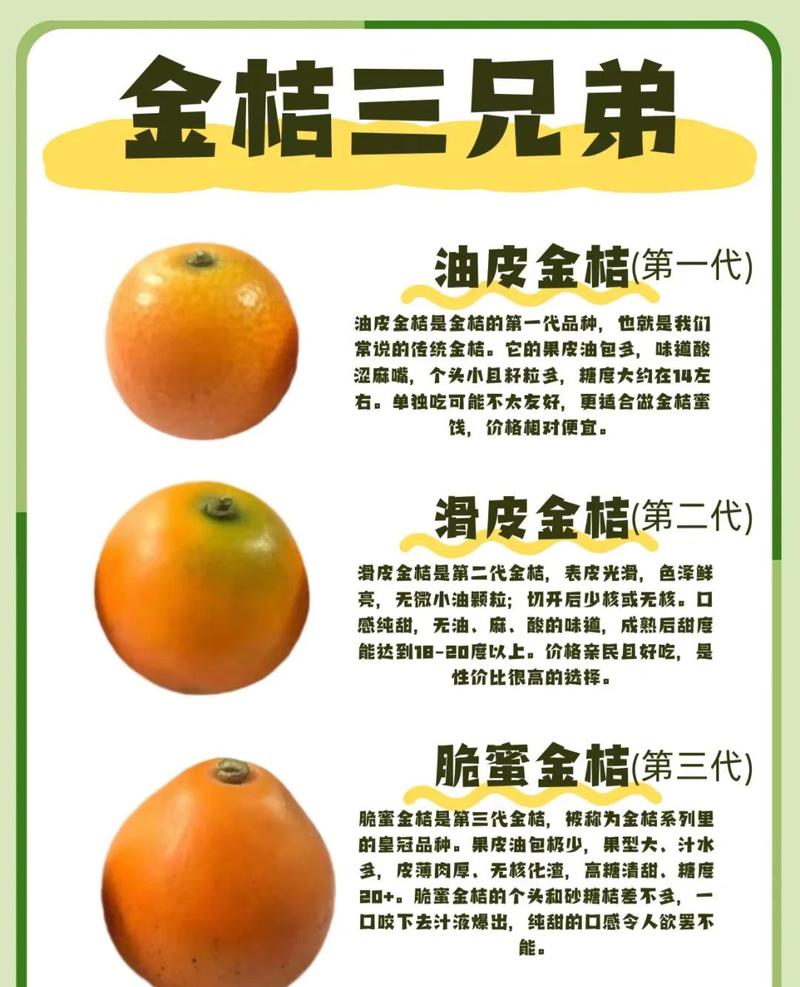 金桔一亩利润