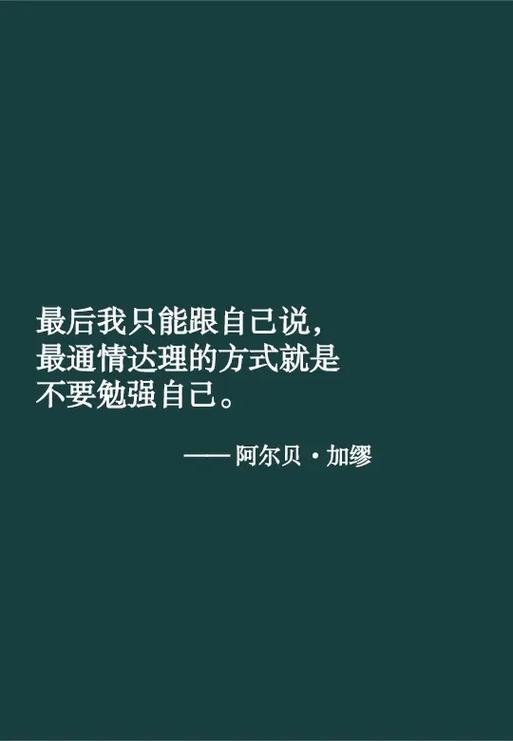抖音文案2026最火文案截图