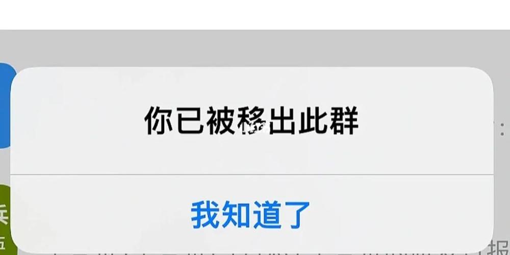 群只显示自己被移除了截图