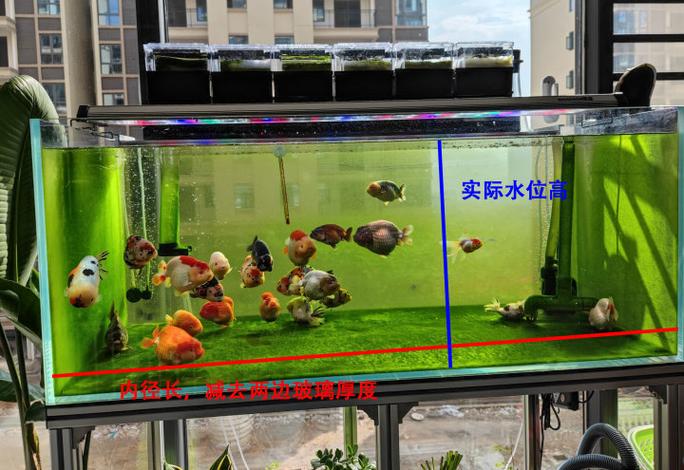 鱼缸水计算公式多少斤
