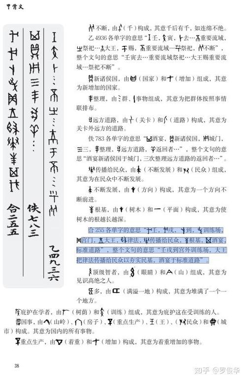 甲骨文在线图标