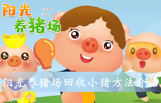 阳光养猪场金猪缩略图