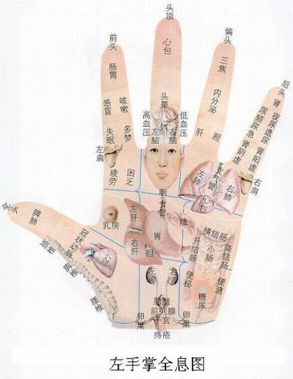 阴阳掌口诀缩略图