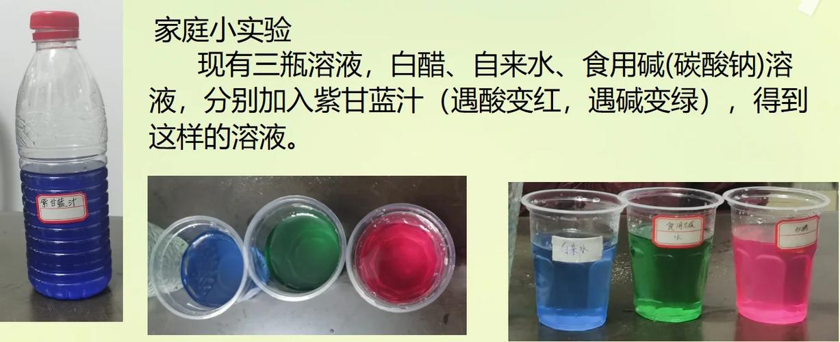 紫甘蓝汁遇到什么不变色