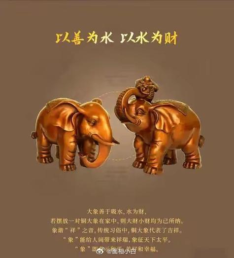 象的寓意和象征风水