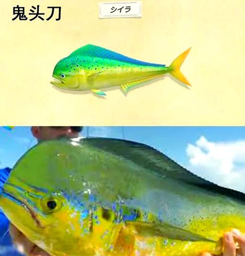 鬼头