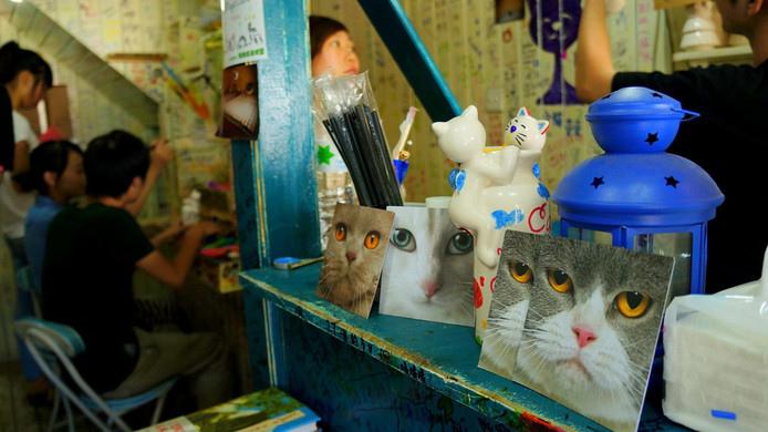 猫咪奶茶店的经营模式图标