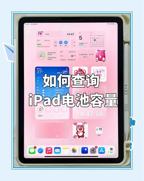 查看ipad电池型号