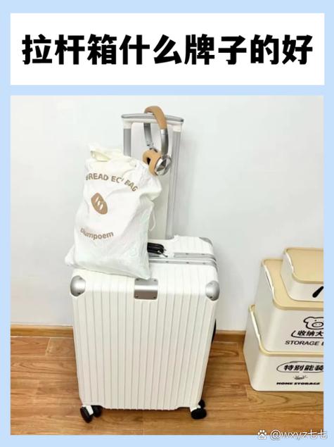 ace和新秀丽哪个好