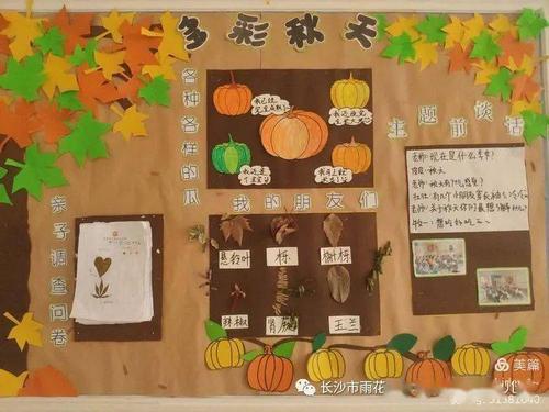 秋天网络图