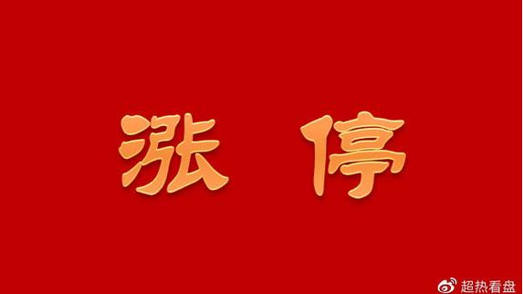 涨停板第二天巨量阳换手率高